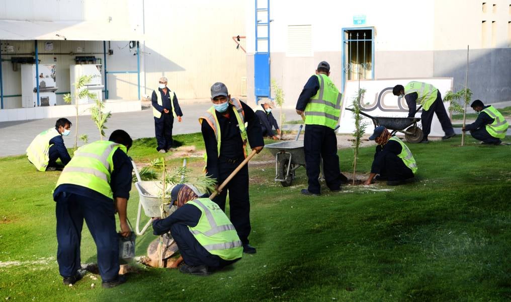 “Think Green – Live Green ” Doing our bit for the environment